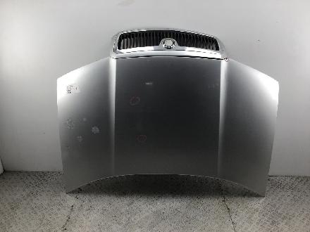 Motorhaube SKODA Fabia Combi (6Y)