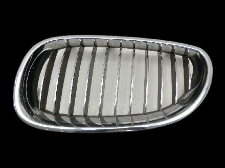 BMW E61 LCI 530d 07-10 Frontgrill Kühlergrill Niere Grill Links