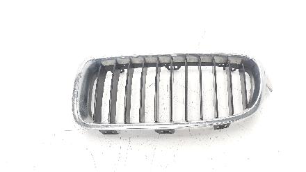 Kühlergrill BMW 3er (F30, F80) 51137255411