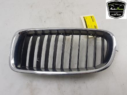 Grill 51137255411 BMW 3 serie (F30) Limousine 320i 1.6 16V EfficientDynamicsEdition (N13-B16A) 2013