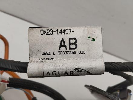 Kraftstoffpumpe Jaguar XF (CC9) DX2314407AB