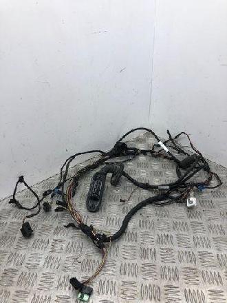 Kabel Tür BMW 7er (F01, F02) 9212165