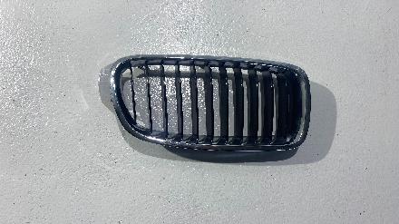 Kühlergrill BMW 3er (F30, F80) 19297610