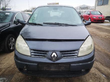 Wasserkühler Renault Scenic, II 2003.06 - 2006.06 Gebraucht ,