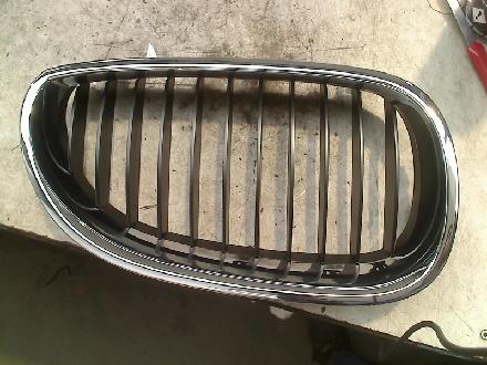 Grill 7027062 BMW 5 serie (E60) Limousine 520d 16V (M47N(204D5)) 2008