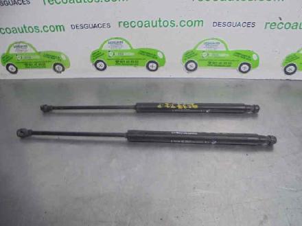 Gasdruckfedern Set Hinten 51778432 Daewoo / Chevrolet DAEWOO 1.6 CAT