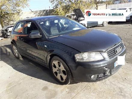 Servolenkung Pumpe Audi A3 (8P1) Schrägheck 3-drs 2.0 TDI 16V (BKD) 2004