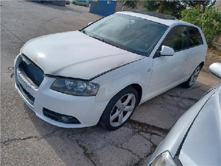 Servolenkung Pumpe Audi A3 (8P1) Schrägheck 3-drs 2.0 TDI 16V (BKD) 2004