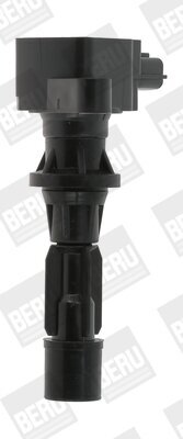 Zündspule 12 V BorgWarner (BERU) ZS488