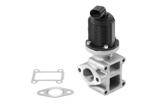 AGR-Ventil BorgWarner (Wahler) 710954R