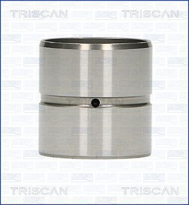 Ventilstößel TRISCAN 80-29001