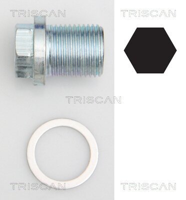 Verschlussschraube, Ölwanne TRISCAN 9500 1002