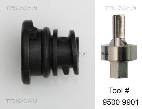 Verschlussschraube, Ölwanne TRISCAN 9500 2901