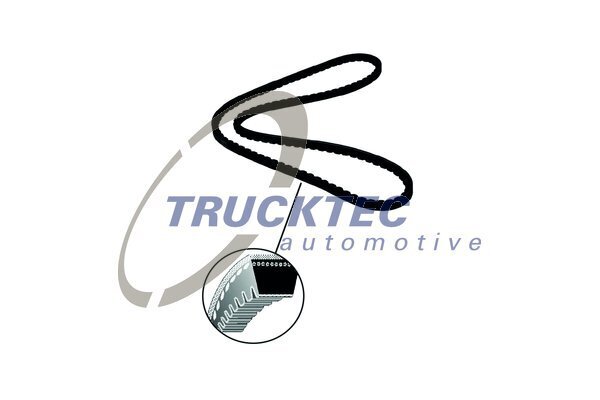 Keilriemen TRUCKTEC AUTOMOTIVE 01.19.043