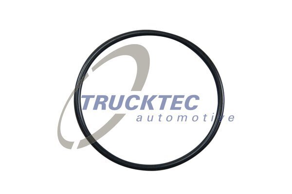 Dichtung, Thermostat TRUCKTEC AUTOMOTIVE 02.67.006