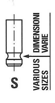 Auslassventil FRECCIA R8016/RCR