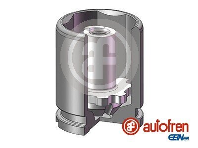 Kolben, Bremssattel AUTOFREN SEINSA D025543K