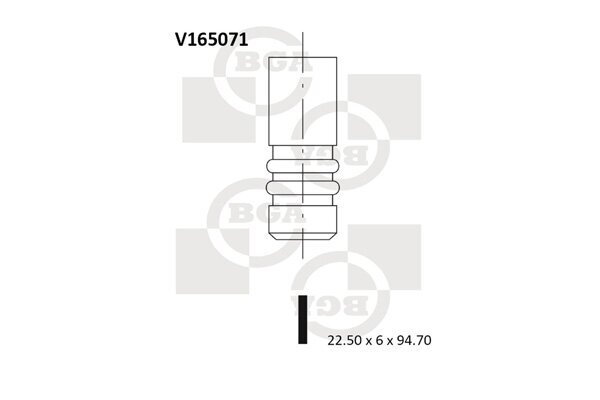 Auslassventil BGA V165071