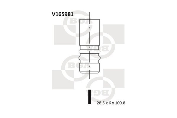 Auslassventil BGA V165981
