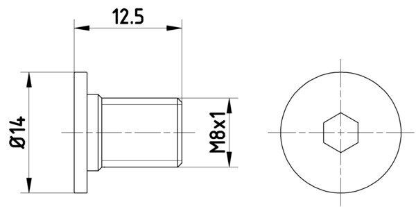 Schraube, Bremsscheibe HELLA PAGID 8DZ 355 209-021