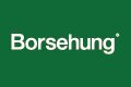 Borsehung Logo