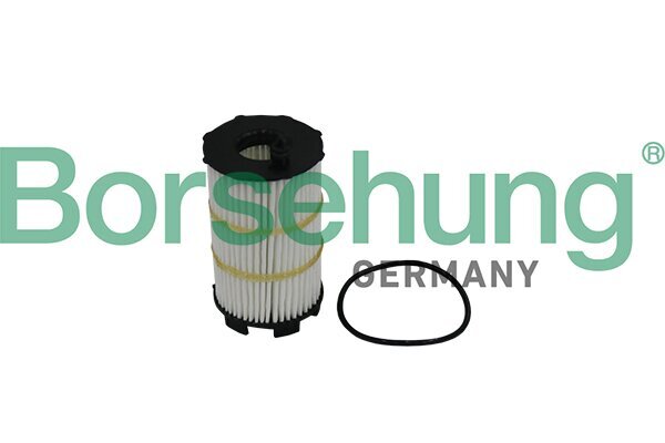 Ölfilter Borsehung B10517