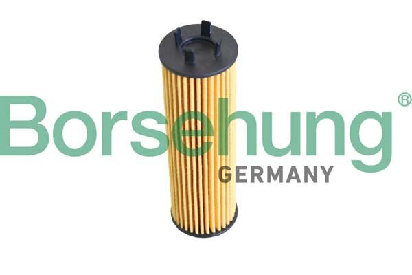 Ölfilter Borsehung B12286