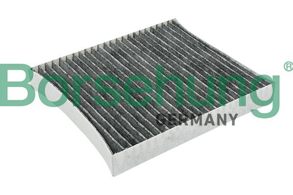 Filter, Innenraumluft Borsehung B12797