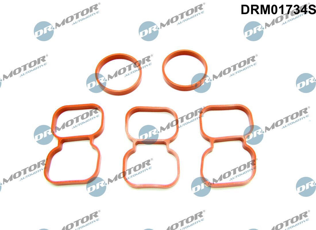 Dichtung, Zylinderkopf Dr.Motor Automotive DRM01734S