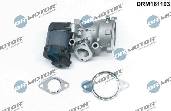 AGR-Ventil 12 V Dr.Motor Automotive DRM161103