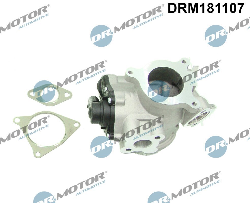 AGR-Ventil Dr.Motor Automotive DRM181107