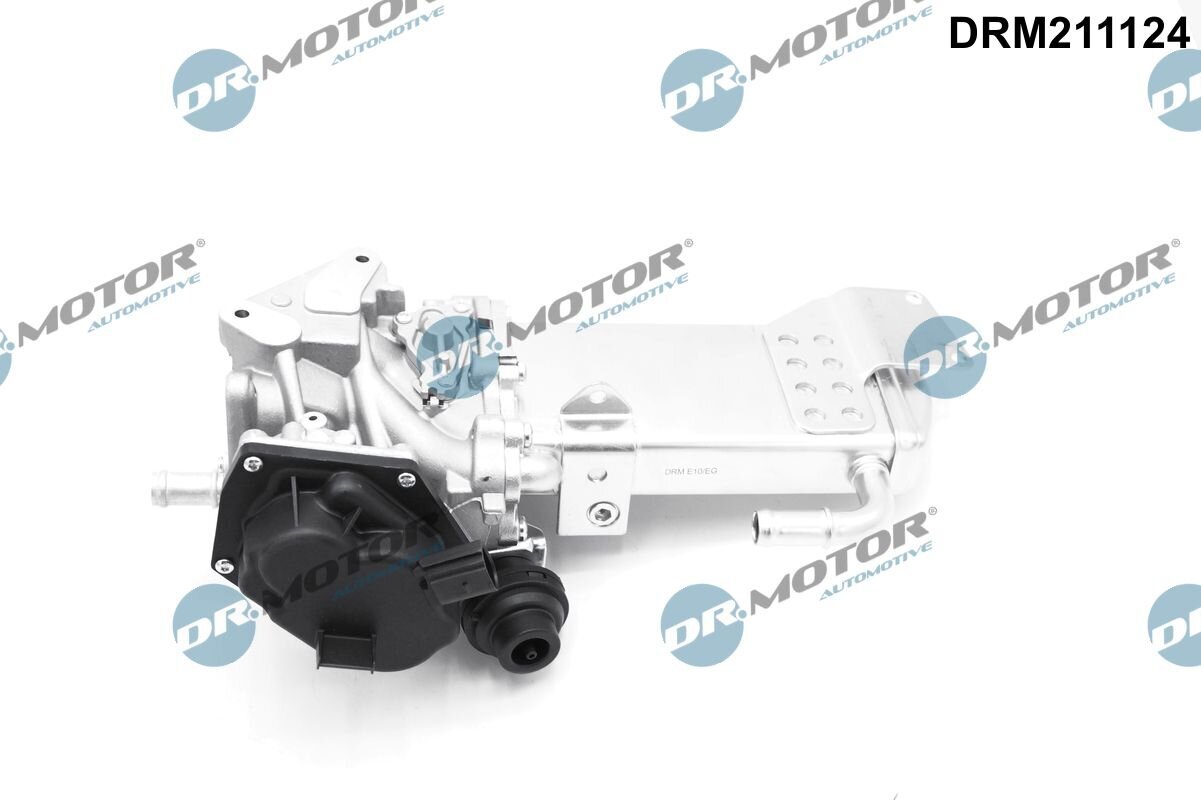 AGR-Ventil Dr.Motor Automotive DRM211124