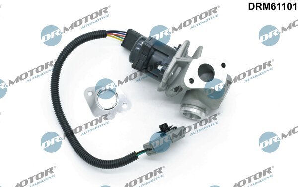 AGR-Ventil 12 V Dr.Motor Automotive DRM61101